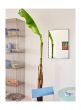 Arcs Mirror-Rectangle S-Mirrored
