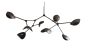 Stingray Chandelier Grande - Bronze