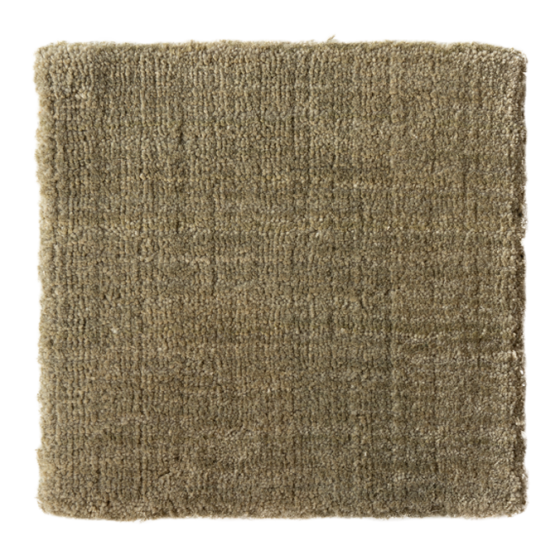 Gubi Rug 300x250 - Moss