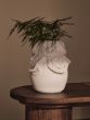 Drisca Vase - H23 - Off-white
