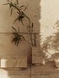 Hew Vase - Travertine