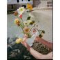 Fountain Glass Bowl Large - Frosted